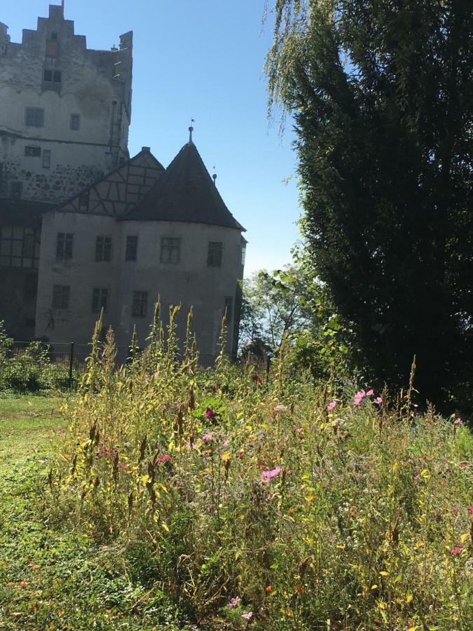 Ferienwohnungen Greitmann Meersburg Bagian luar foto